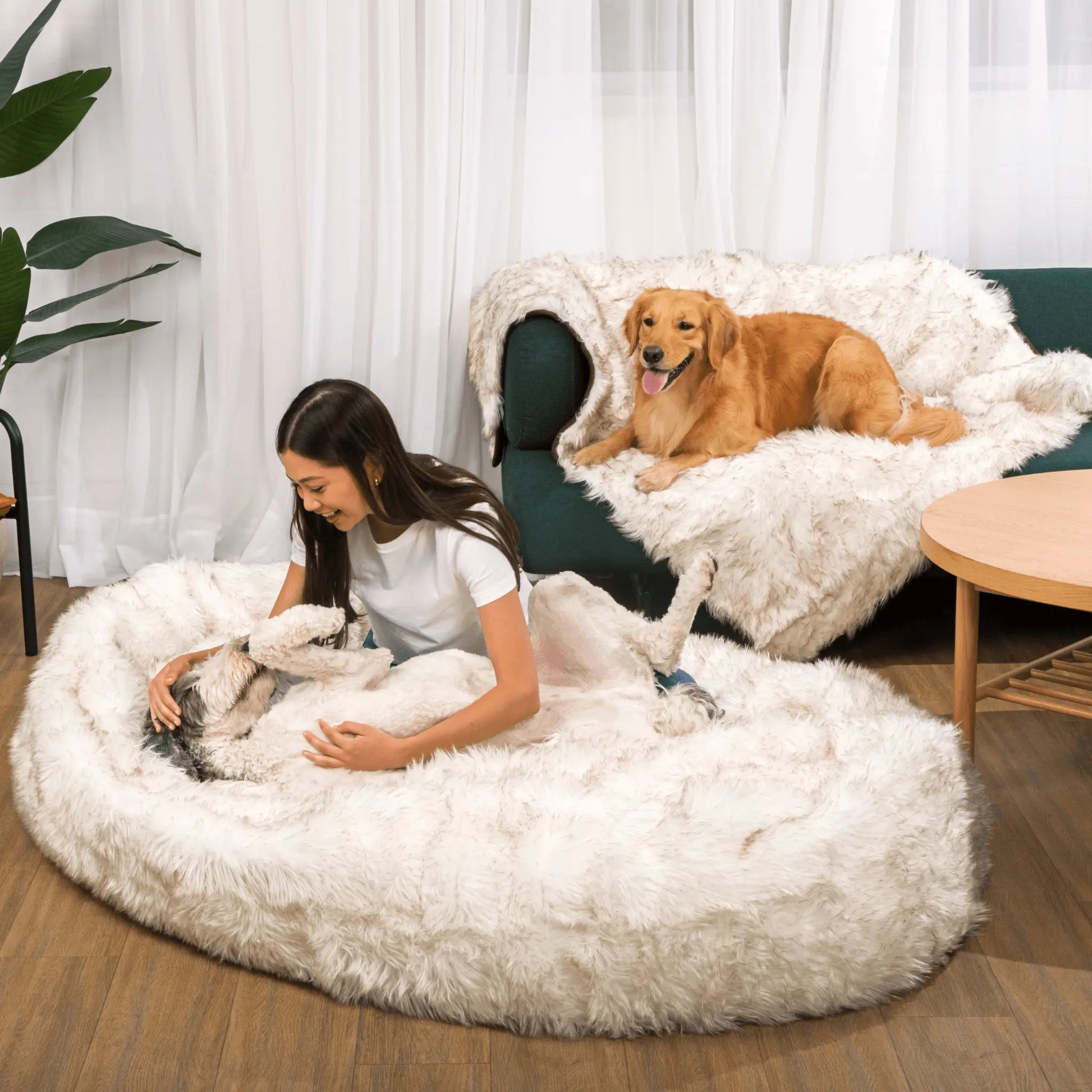 PupCloud™ Human-Size Dog Bed + Matching Waterproof Blanket Bundle - White with Brown Accents Paw.com