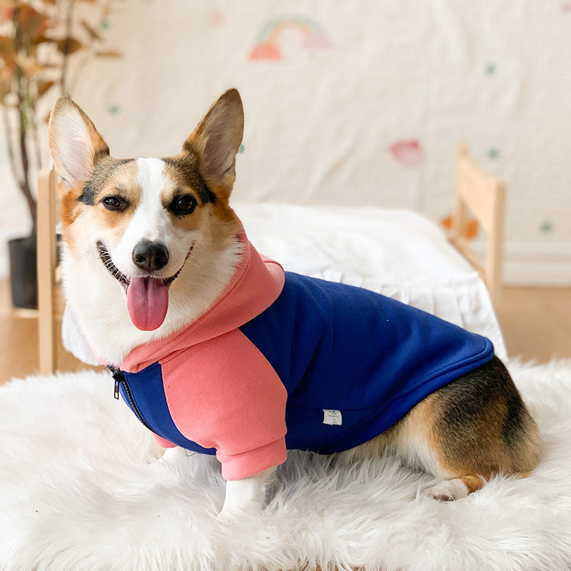 Corgi Dog Clothes Spring and Autumn Thin Small and Medium Dog Hair Shedding Prevention Pet Dog Clothes