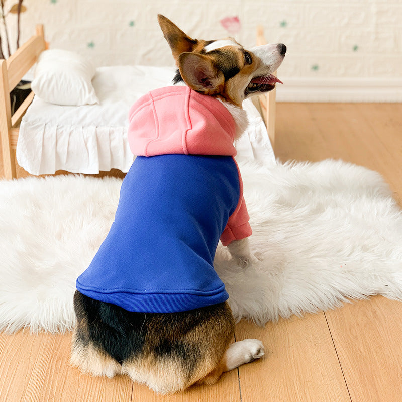 Corgi Dog Clothes Spring and Autumn Thin Small and Medium Dog Hair Shedding Prevention Pet Dog Clothes