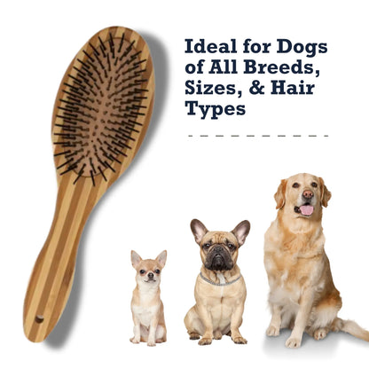 Country Living Dual-Sided Natural Wood Dog Brush - Ergonomic, Durable & Versatile American Pet Supplies