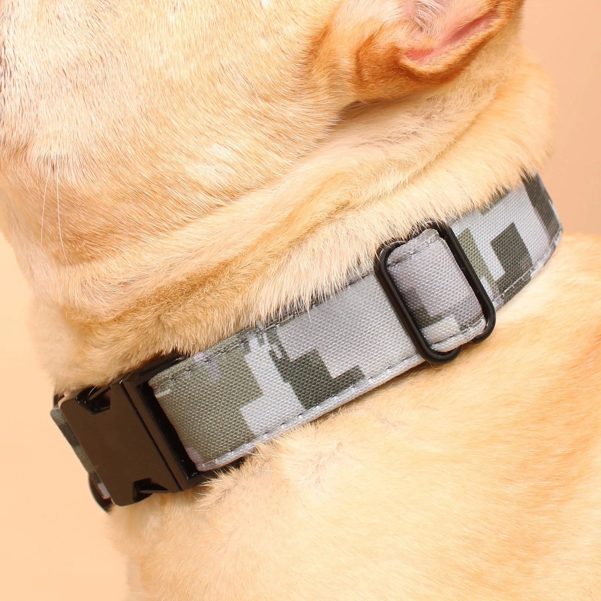 Annadel Recycled Dog Collar Lil Archies