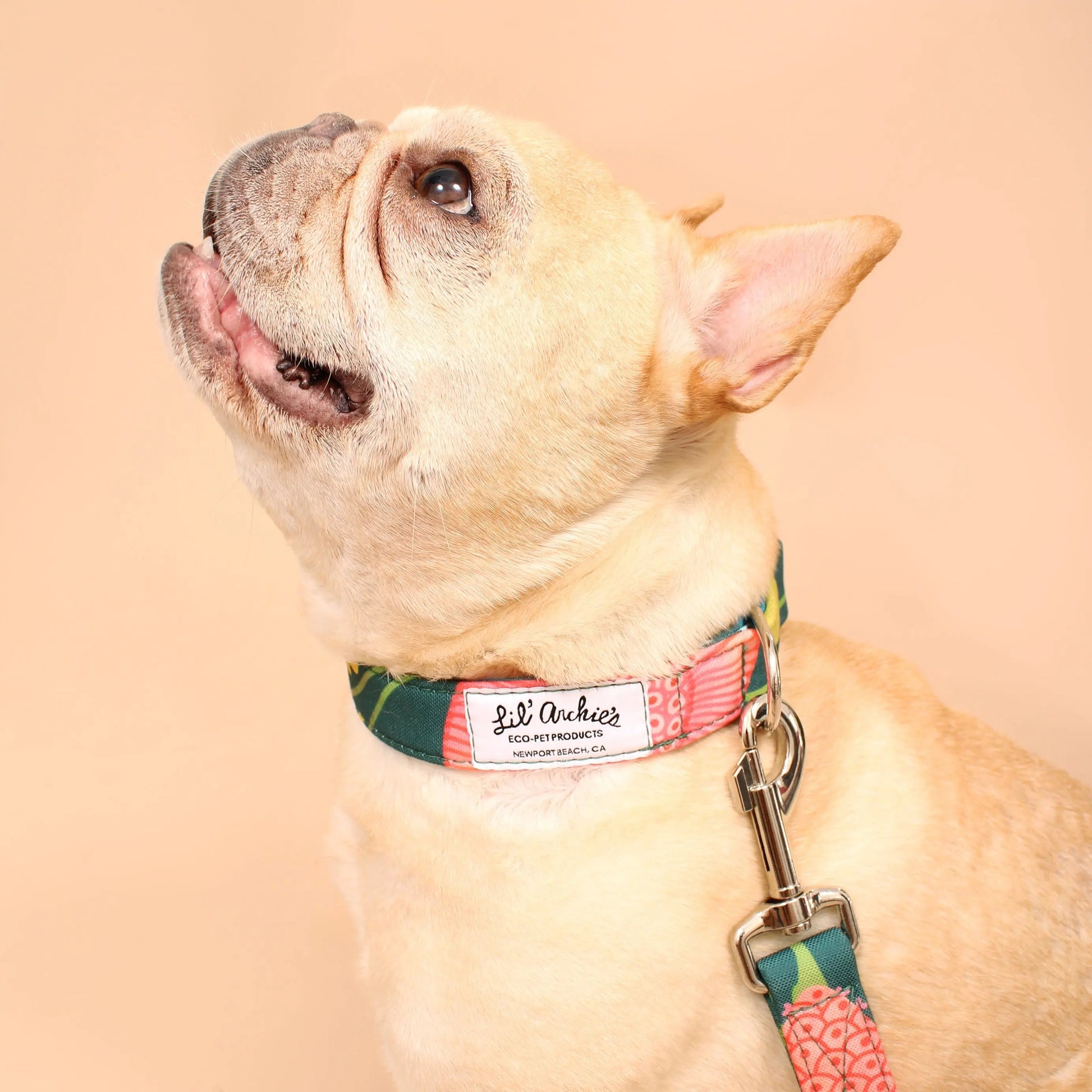 Eden Recycled Dog Collar Lil Archies