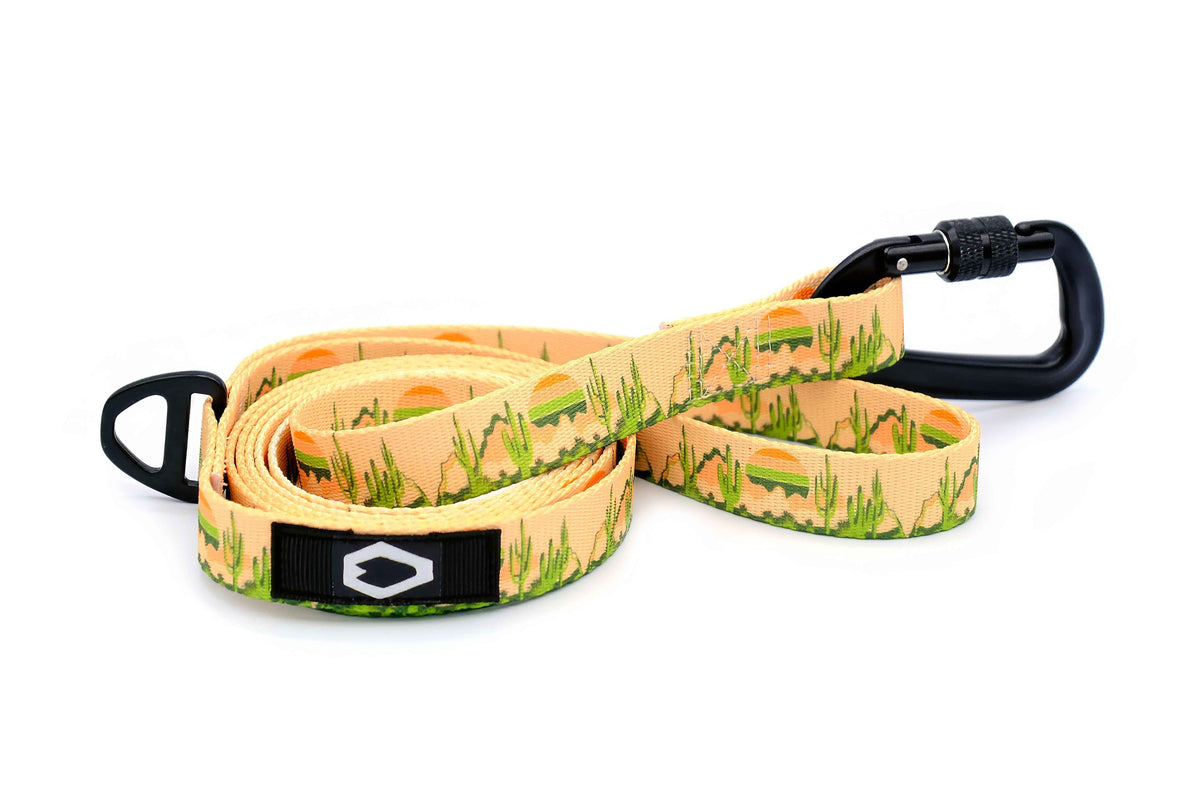 Outdoor Style Nylon Dog Leash