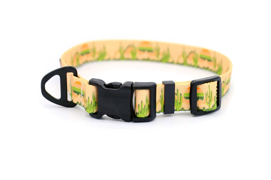 Outdoor Style Cactus Cream Nylon Dog Collar Euro-Dog Collars and Leads