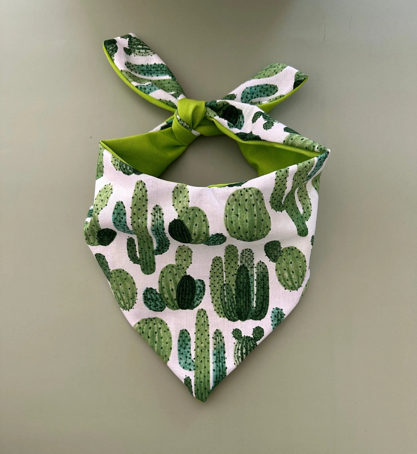 Cactus Dog Bandana Happy Tails Outfitters