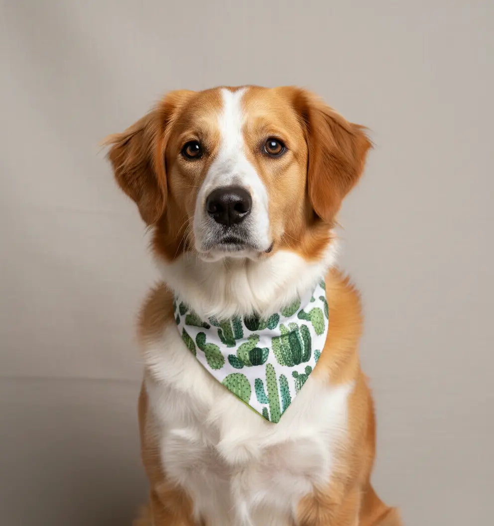 Cactus Dog Bandana Happy Tails Outfitters