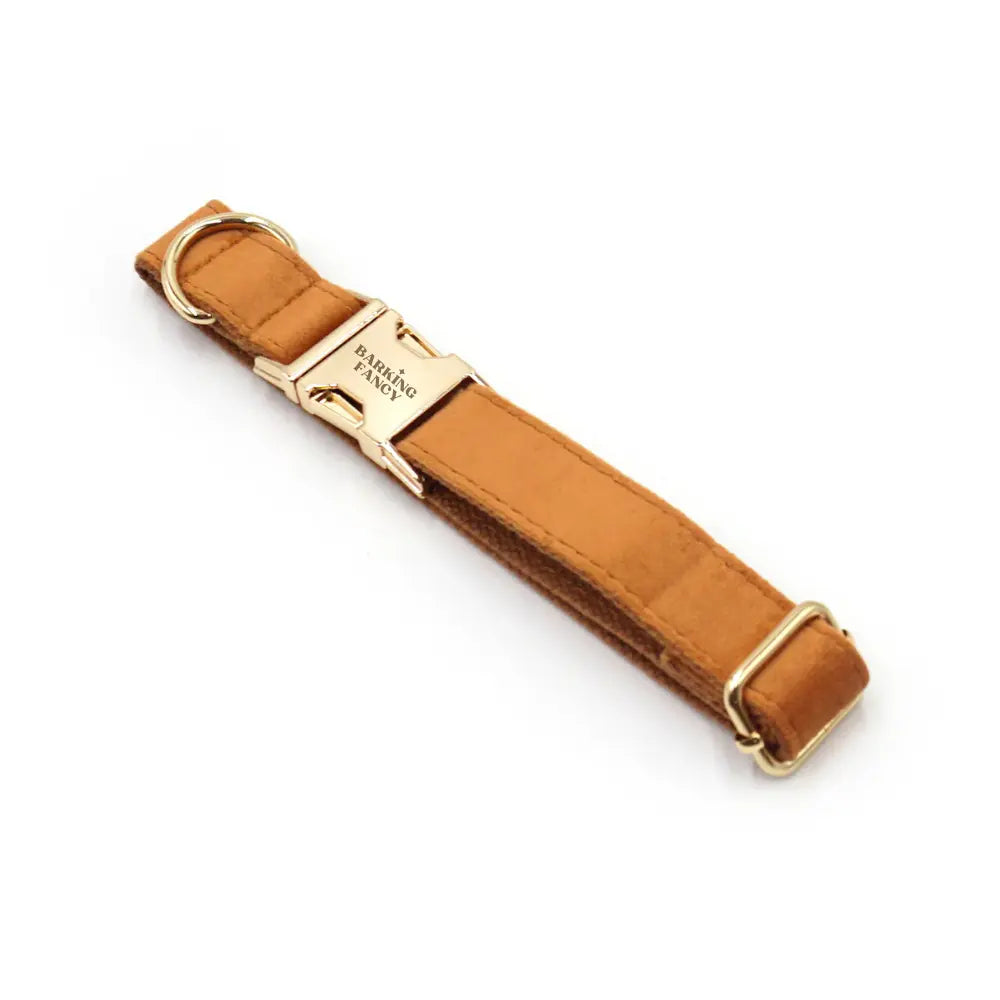 Velvet Holiday Walk Set - Caramel Barking Fancy