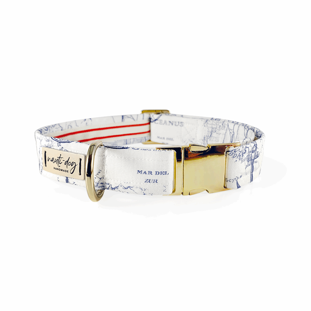Carta Marina Light Vintage Nautical Toile Buckle & Martingale Dog Collar Nauti-dog Handmade
