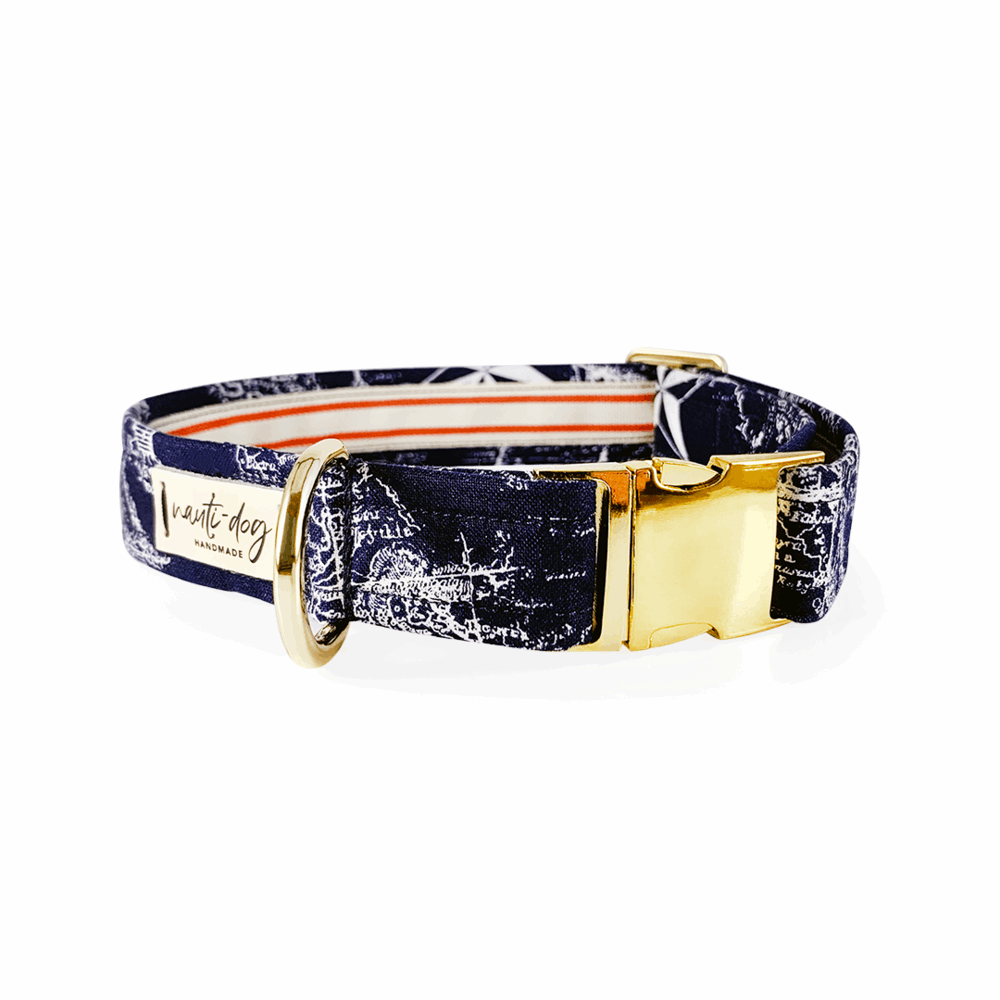 Carta Marina Navy Vintage Nautical Toile Buckle & Martingale Dog Collar Nauti-dog Handmade