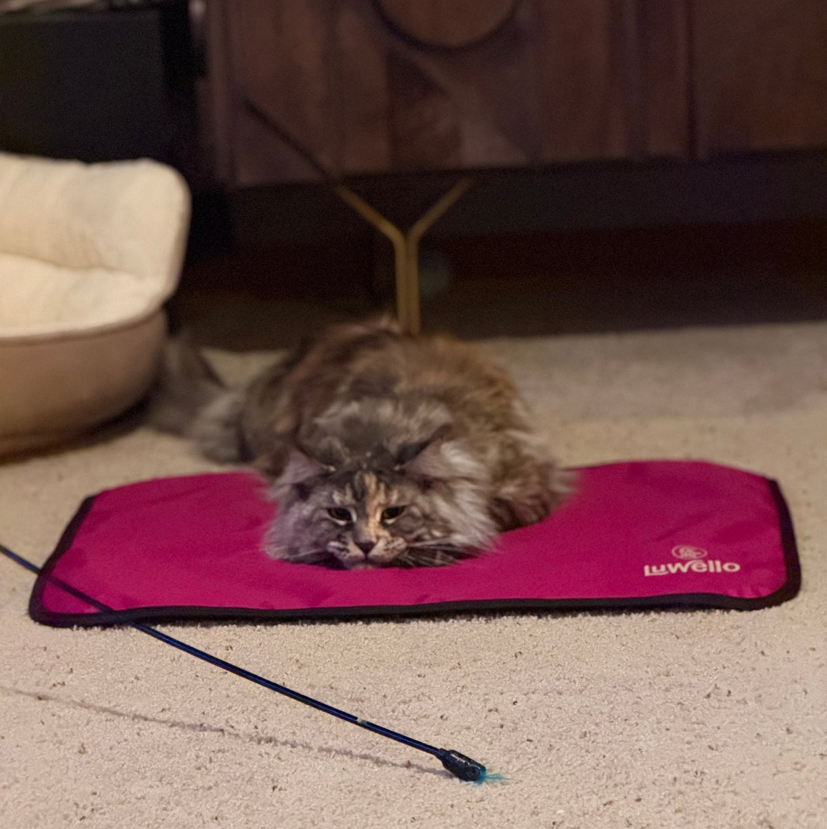 Non-Slip Settle Mat: Grip backing