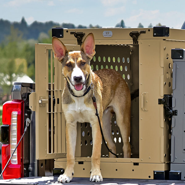 Heavy Duty Collapsible Dog Crate – Large