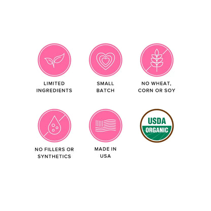 Ava's Pet Palace Organic Baked Dog Treats - Cheeze Pleeze (6 oz) / 2-Pack American Pet Supplies