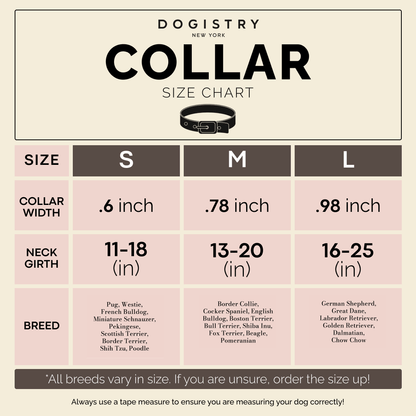 City Collar - Denim Dogistry™