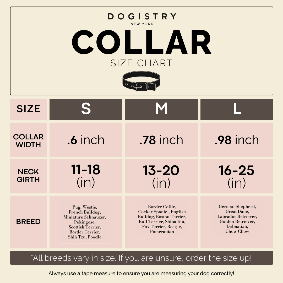 City Collar - Fifth Avenue Dogistry™