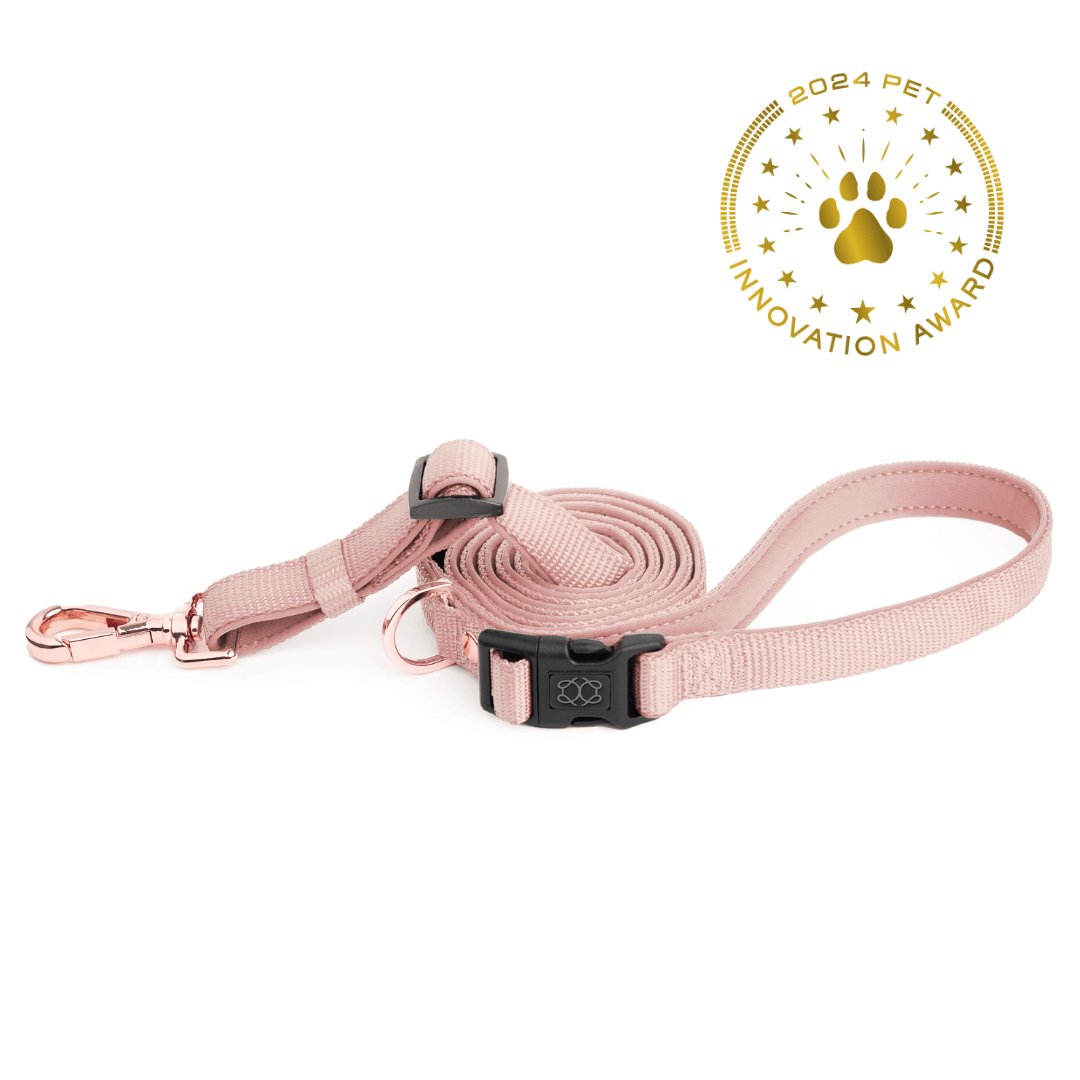 City Dog Leash - Blush Dogistry™