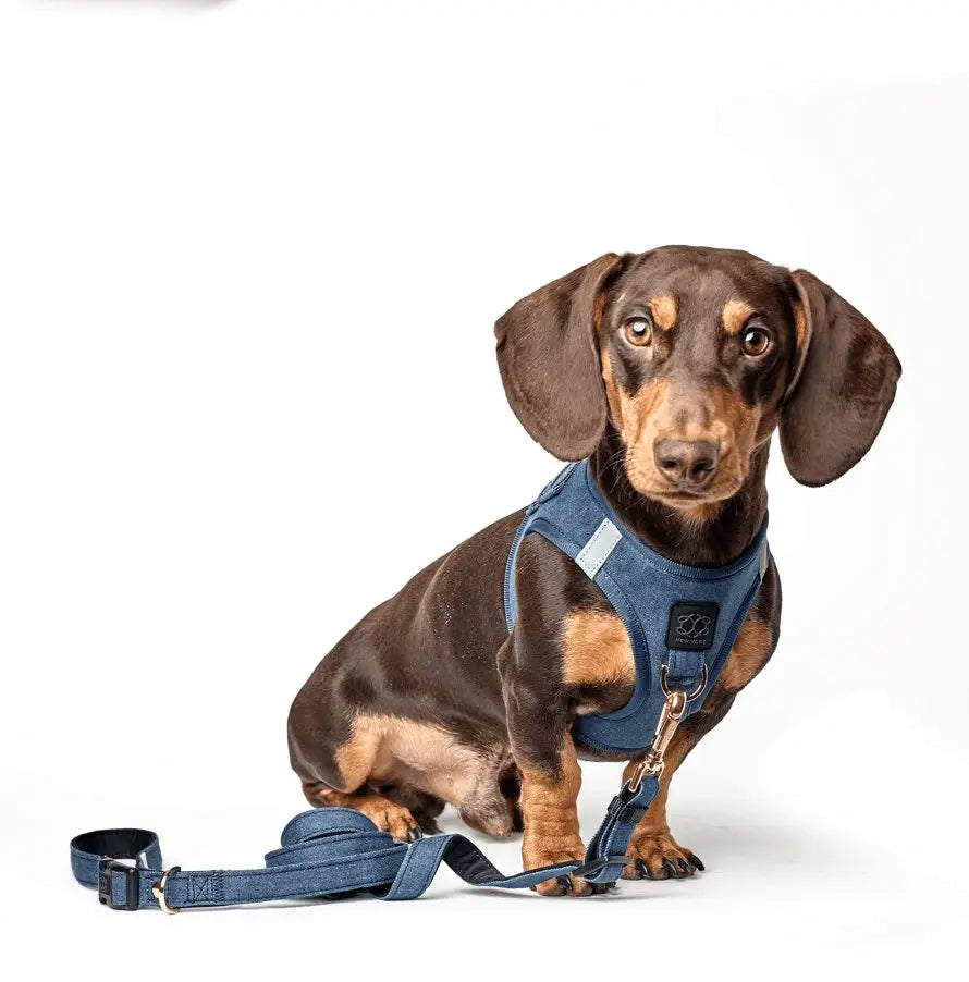 3-in-1 City Dog Leash - Denim - K9 Outdoors