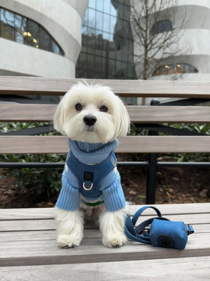 City Dog Leash - Denim Dogistry™