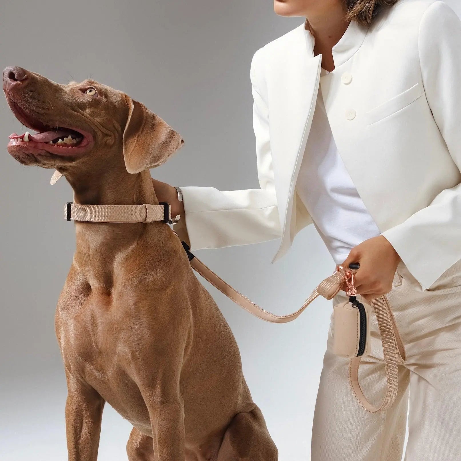 3-in-1 City Dog Leash - Dune Dogistry™