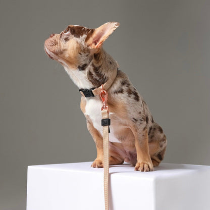 City Dog Leash - Dune Dogistry™