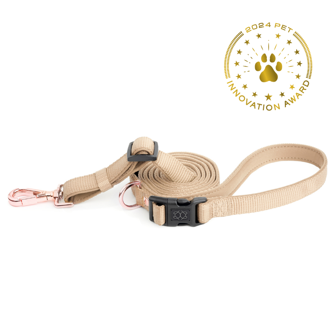 City Dog Leash - Dune Dogistry™