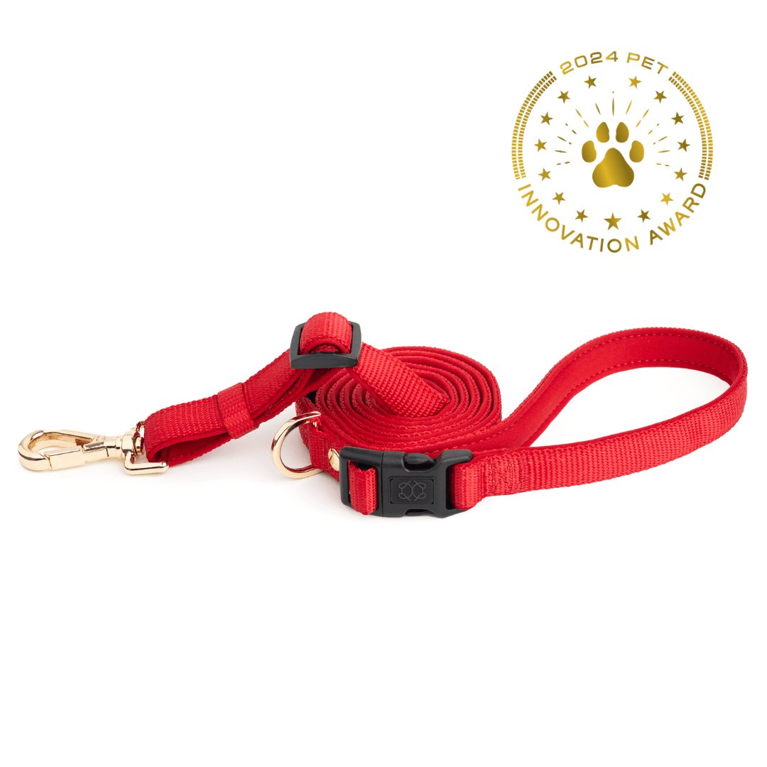 City Dog Leash - Iconic Red Dogistry™