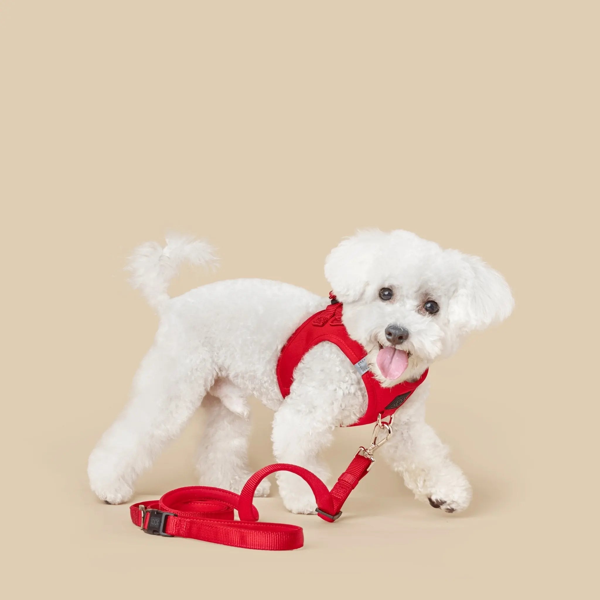 3-in-1 City Dog Leash - Iconic Red - K9 Outdoors