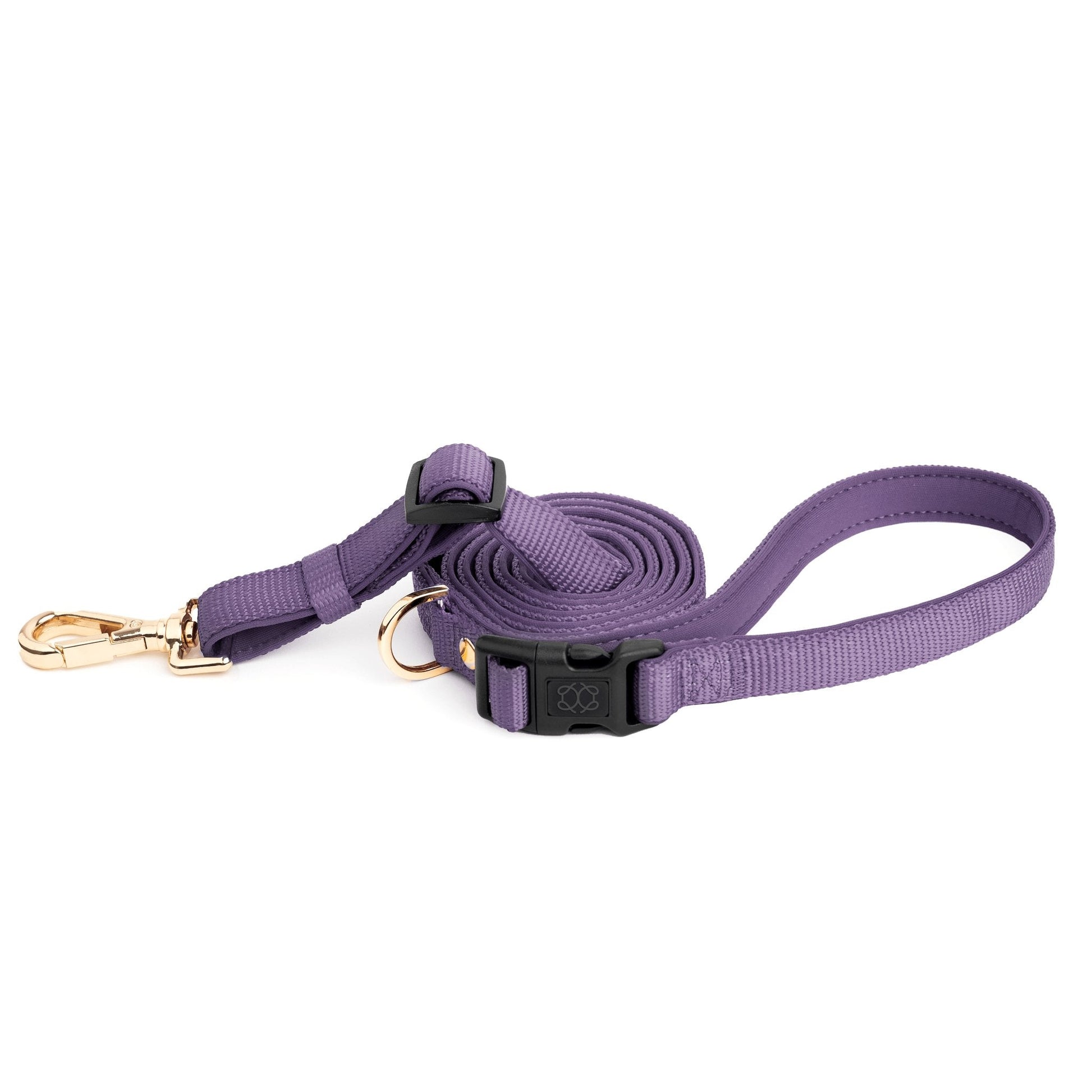 City Dog Leash - Lilac Gray Dogistry™