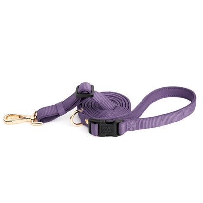 City Dog Leash - Lilac Gray Dogistry™