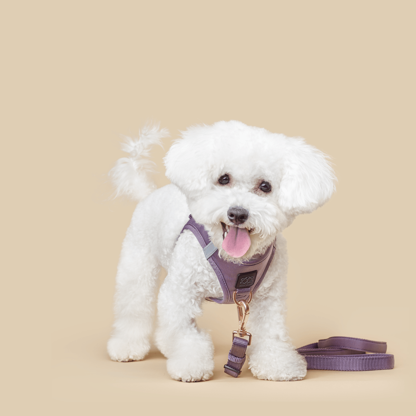 City Dog Leash - Lilac Gray Dogistry™