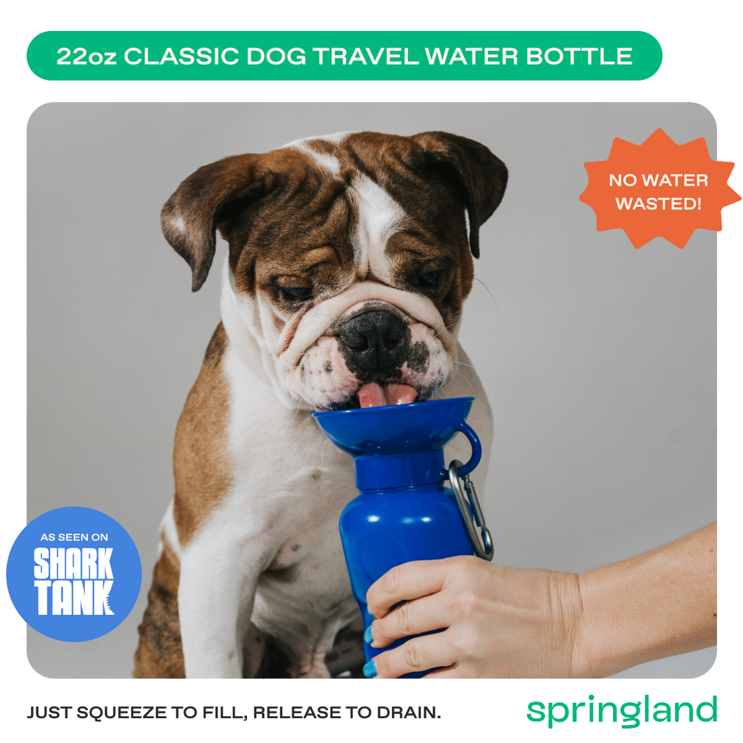 22oz Original Travel Dog Water Bottle