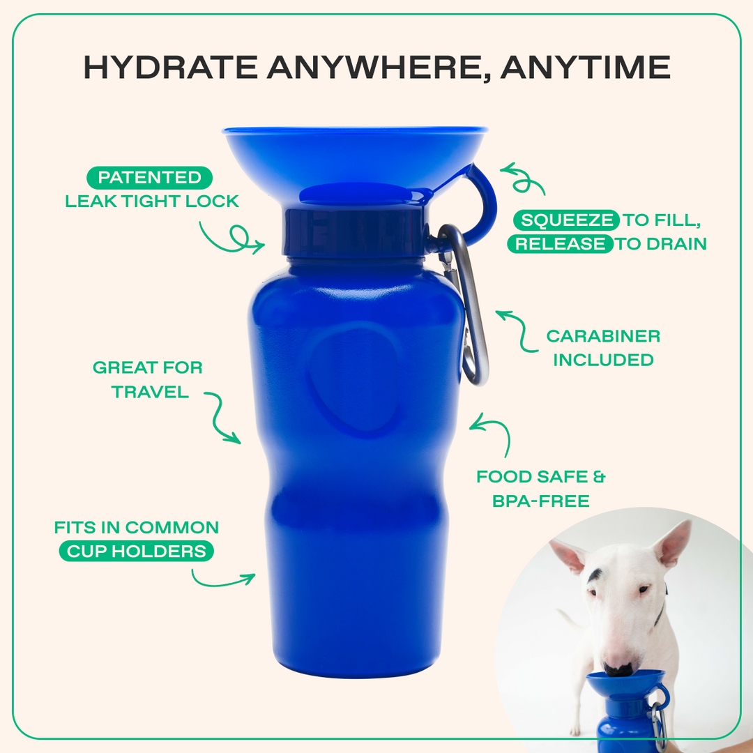 22oz Original Travel Dog Water Bottle