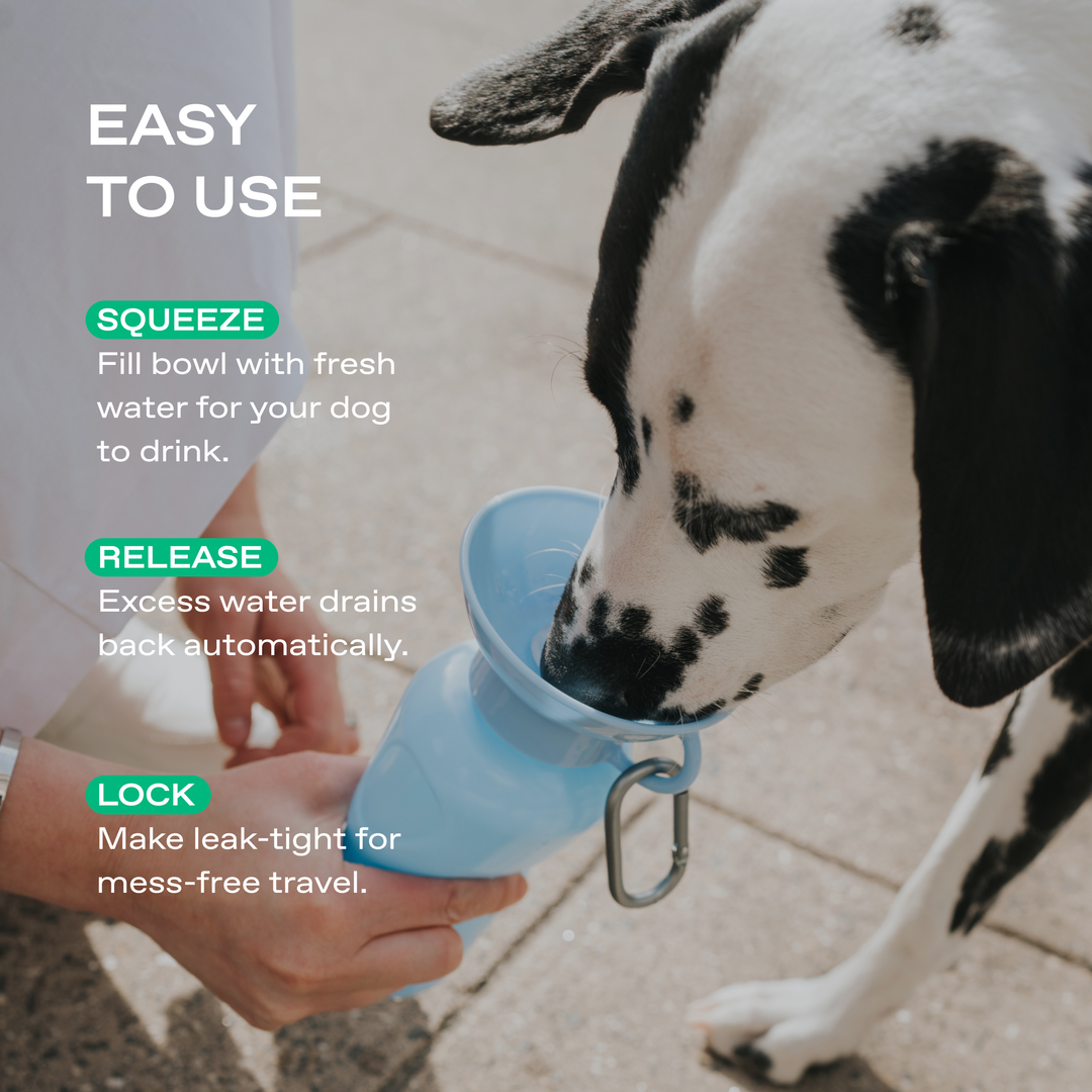 22oz Original Travel Dog Water Bottle