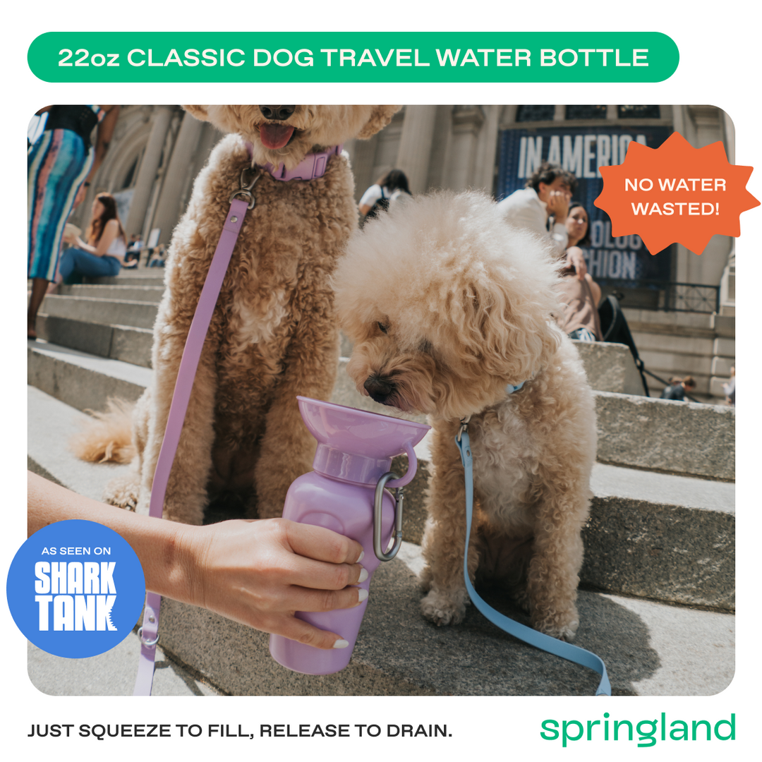 22oz Original Travel Dog Water Bottle