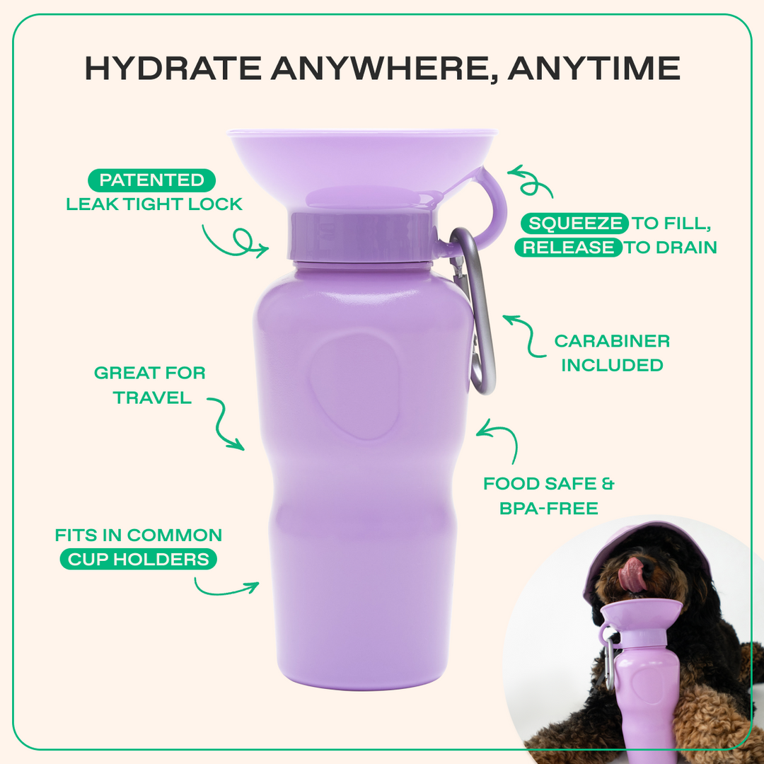 22oz Original Travel Dog Water Bottle