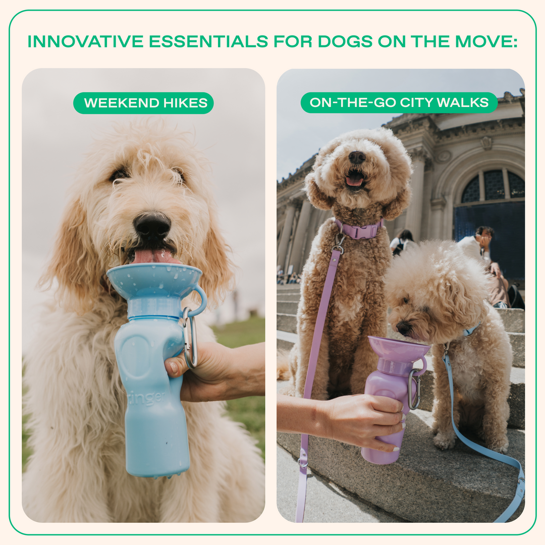 22oz Original Travel Dog Water Bottle
