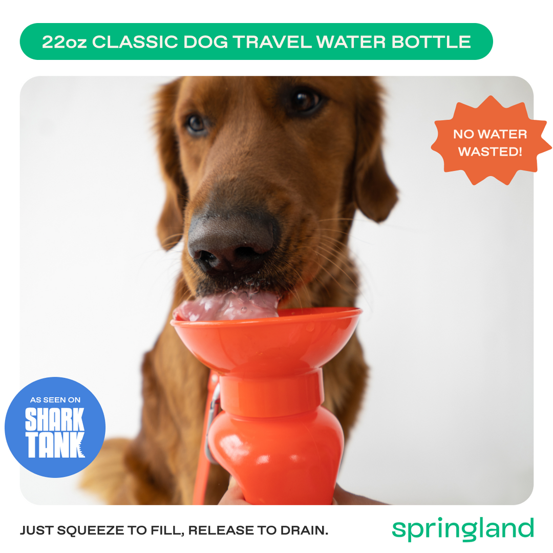 22oz Original Travel Dog Water Bottle