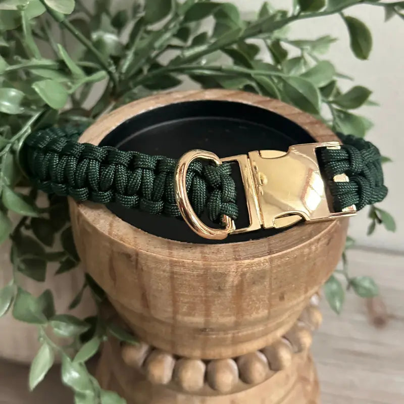 Cobra Braid in Emerald Green - Handmade Dog Collar Pawsh Pup Co.