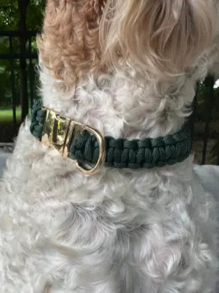 Cobra Braid in Emerald Green - Handmade Dog Collar Pawsh Pup Co.