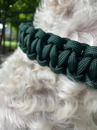 Cobra Braid in Emerald Green - Handmade Dog Collar Pawsh Pup Co.
