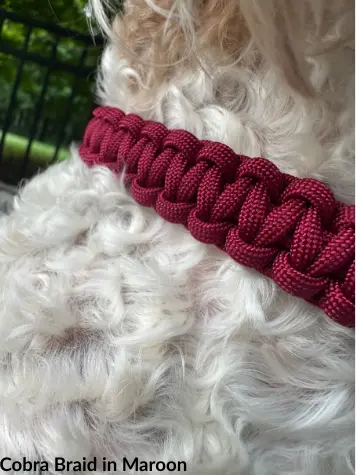 Cobra Braid in Maroon Handmade Dog Collar Pawsh Pup Co.