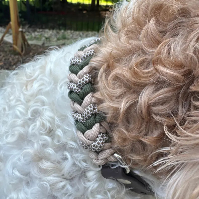 Coiled Charm Hand Braided Dog Collar in Olive, Light Tan, & Coyote Brown Diamonds Pawsh Pup Co.