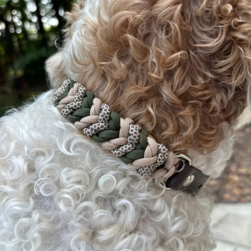 Coiled Charm Hand Braided Dog Collar in Olive, Light Tan, & Coyote Brown Diamonds Pawsh Pup Co.