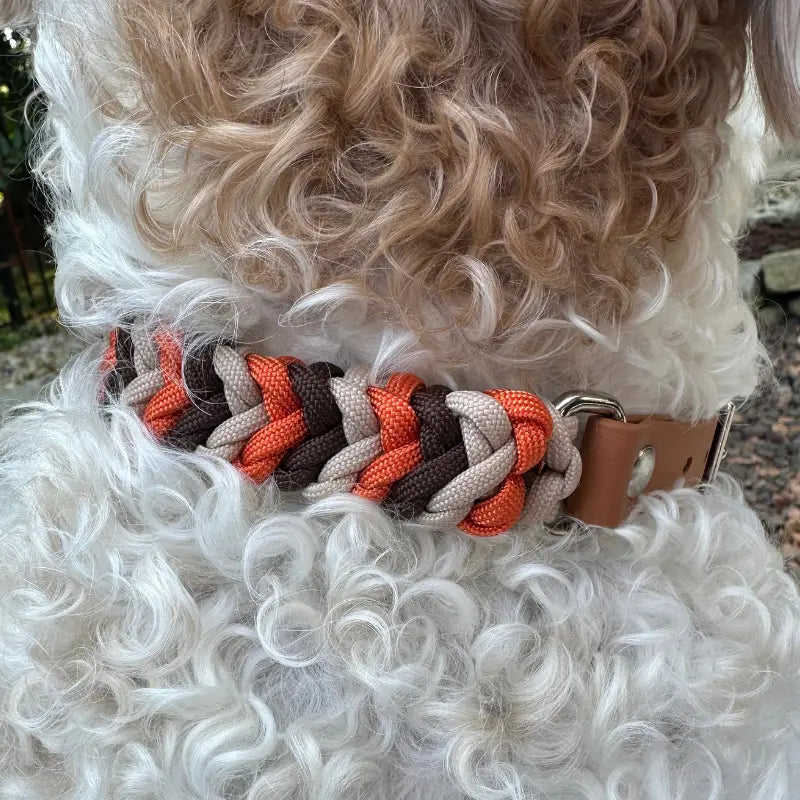 Coiled Charm Hand Braided Dog Collar in Burnt Orange, Walnut Brown, & Light Tan Pawsh Pup Co.