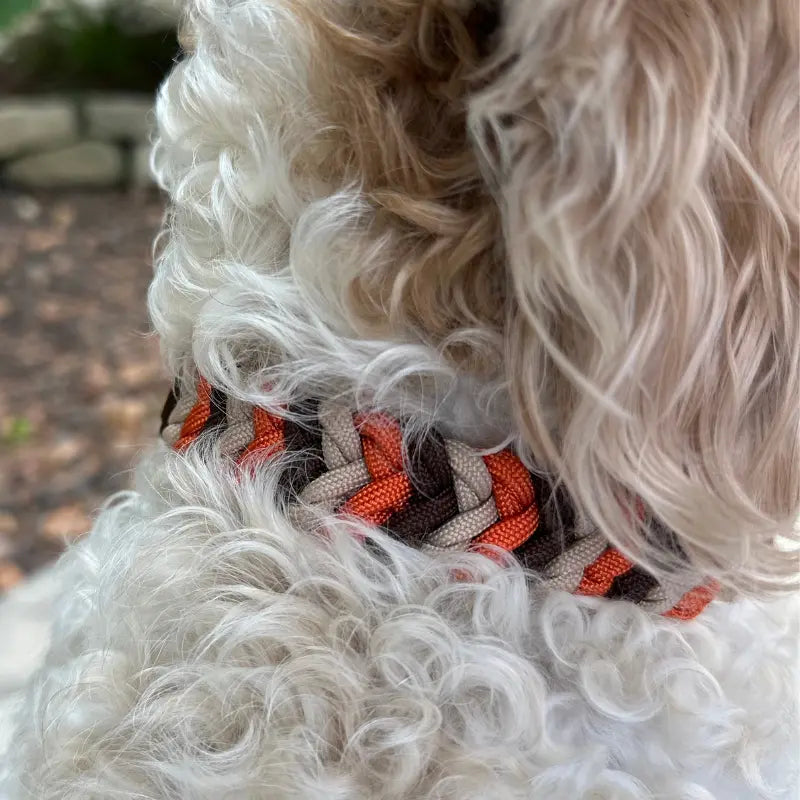 Coiled Charm Hand Braided Dog Collar in Burnt Orange, Walnut Brown, & Light Tan Pawsh Pup Co.
