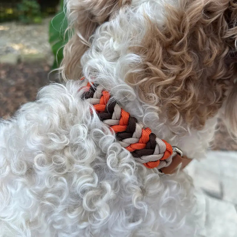 Coiled Charm Hand Braided Dog Collar in Burnt Orange, Walnut Brown, & Light Tan Pawsh Pup Co.