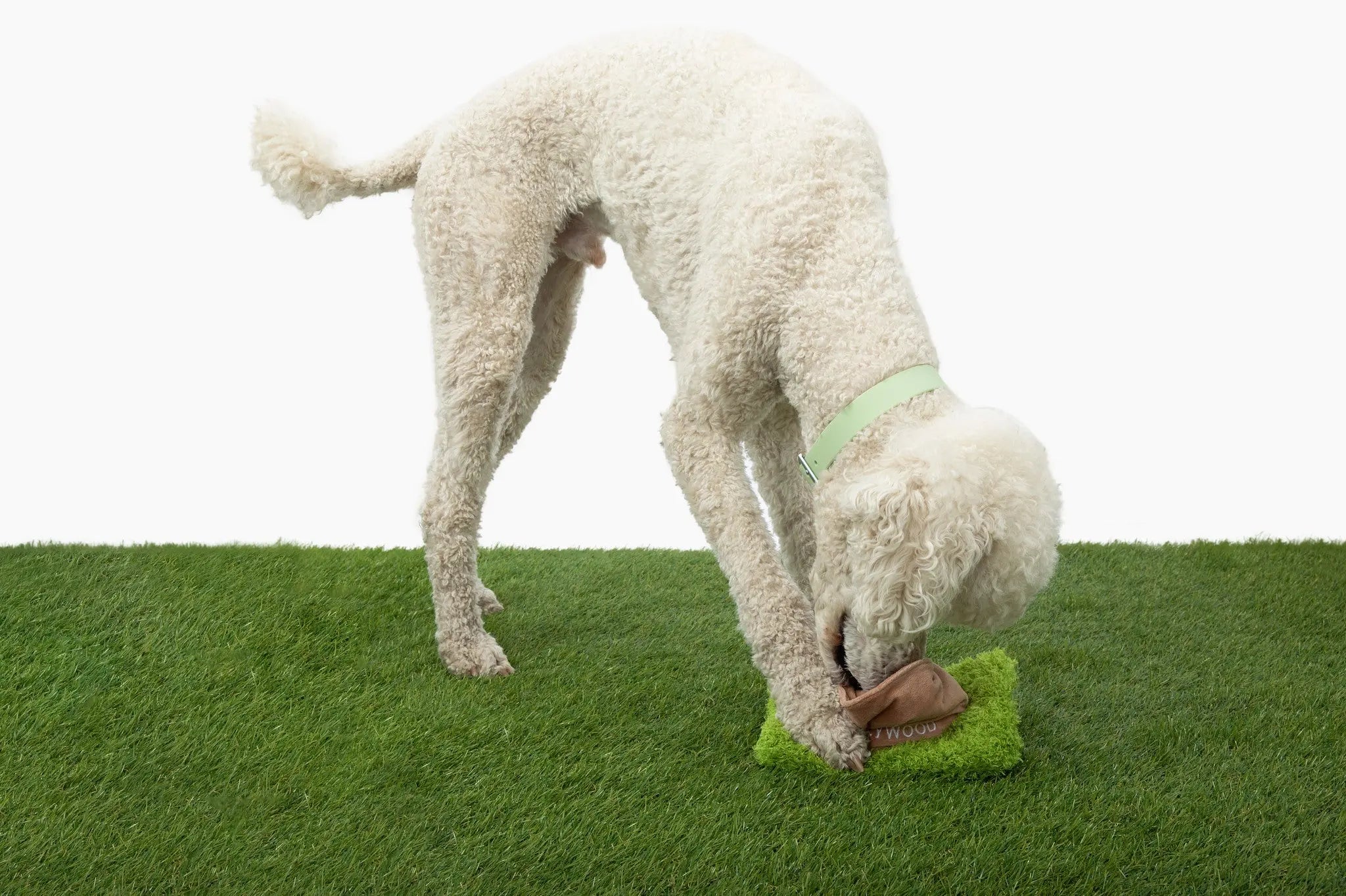 Hollywoof Nose Work Dog Toy - K9 Outdoors