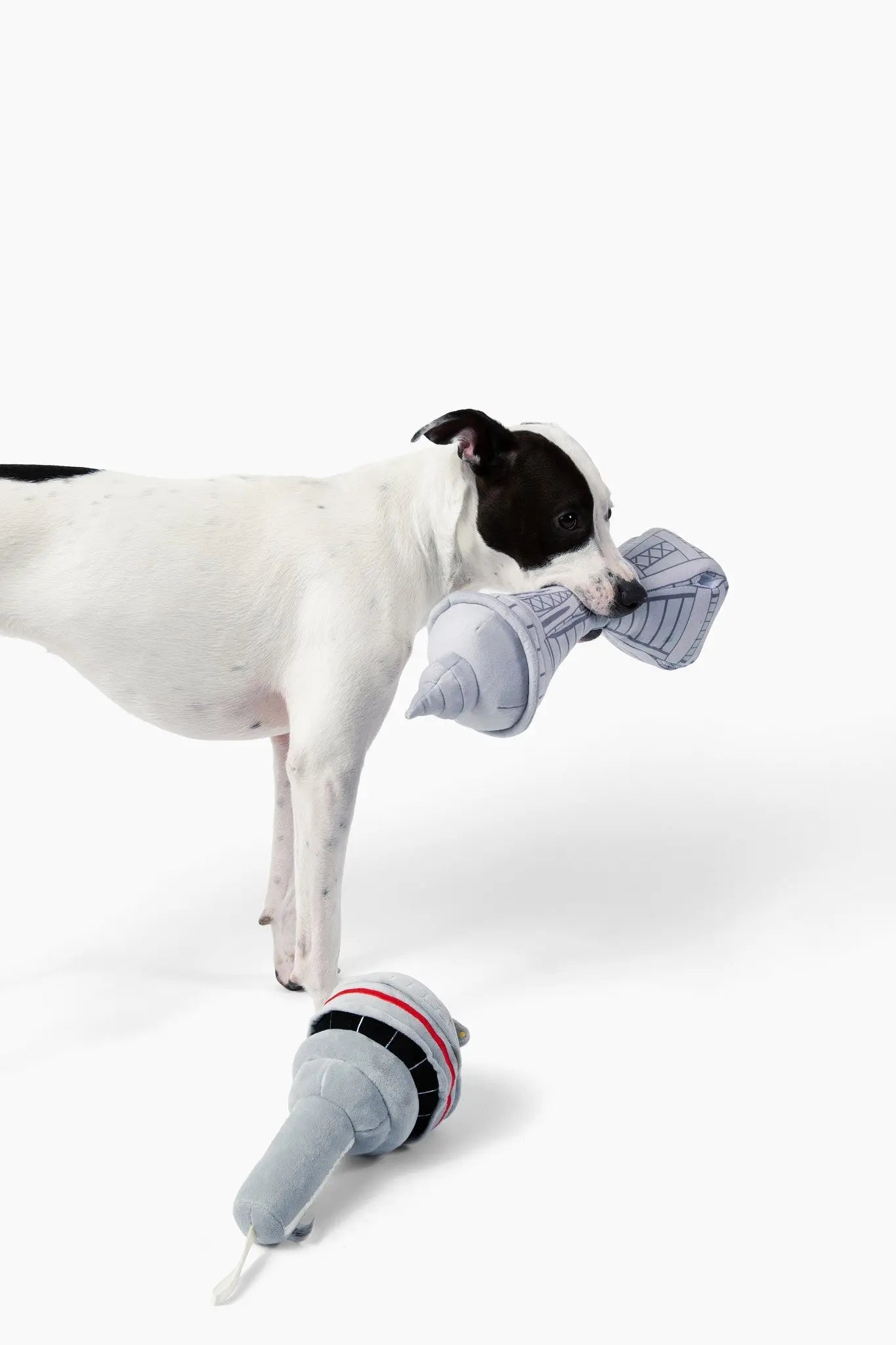 Dog In Seattle Nose Work Dog Toy - K9 Outdoors