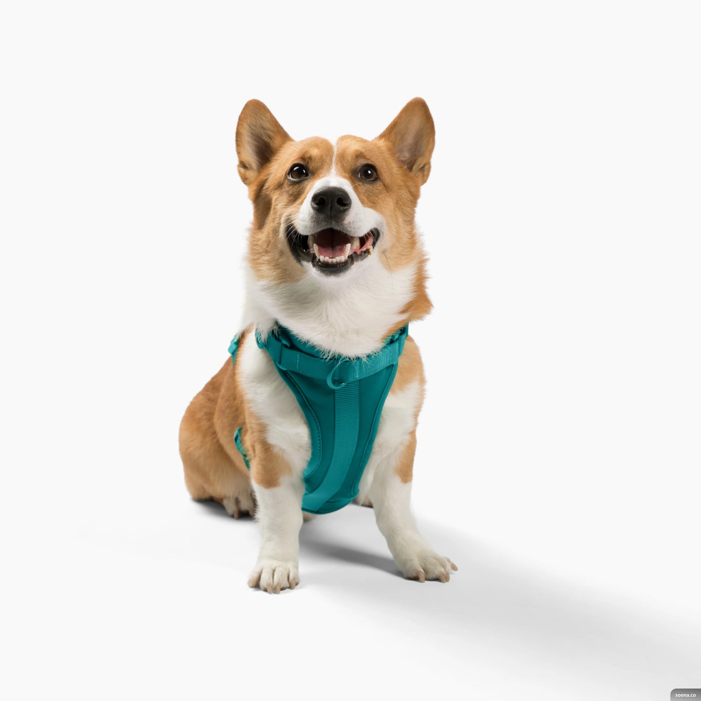 Harness - K9 Outdoors