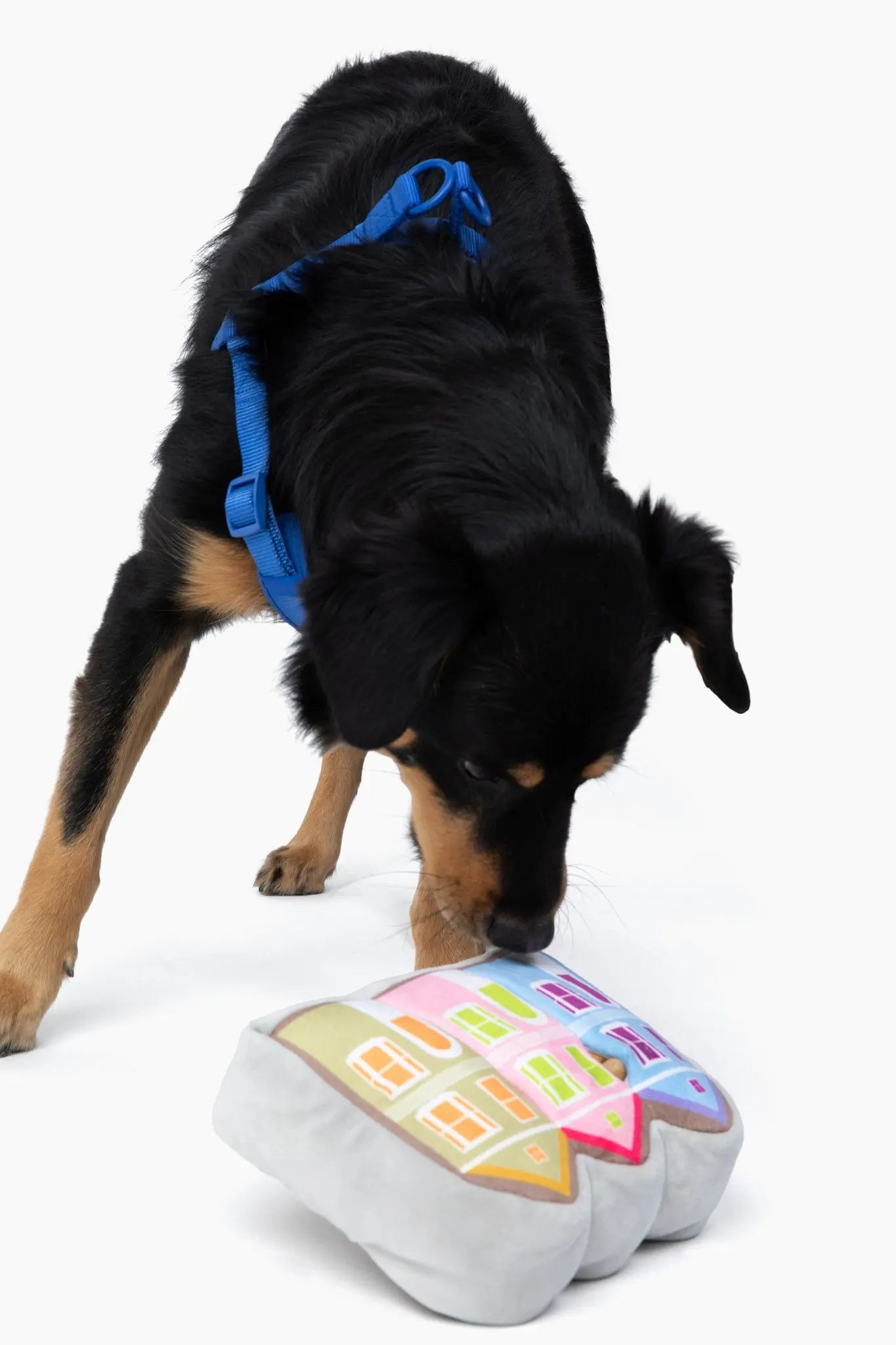 Painted Ladies Nose Work Dog Toy