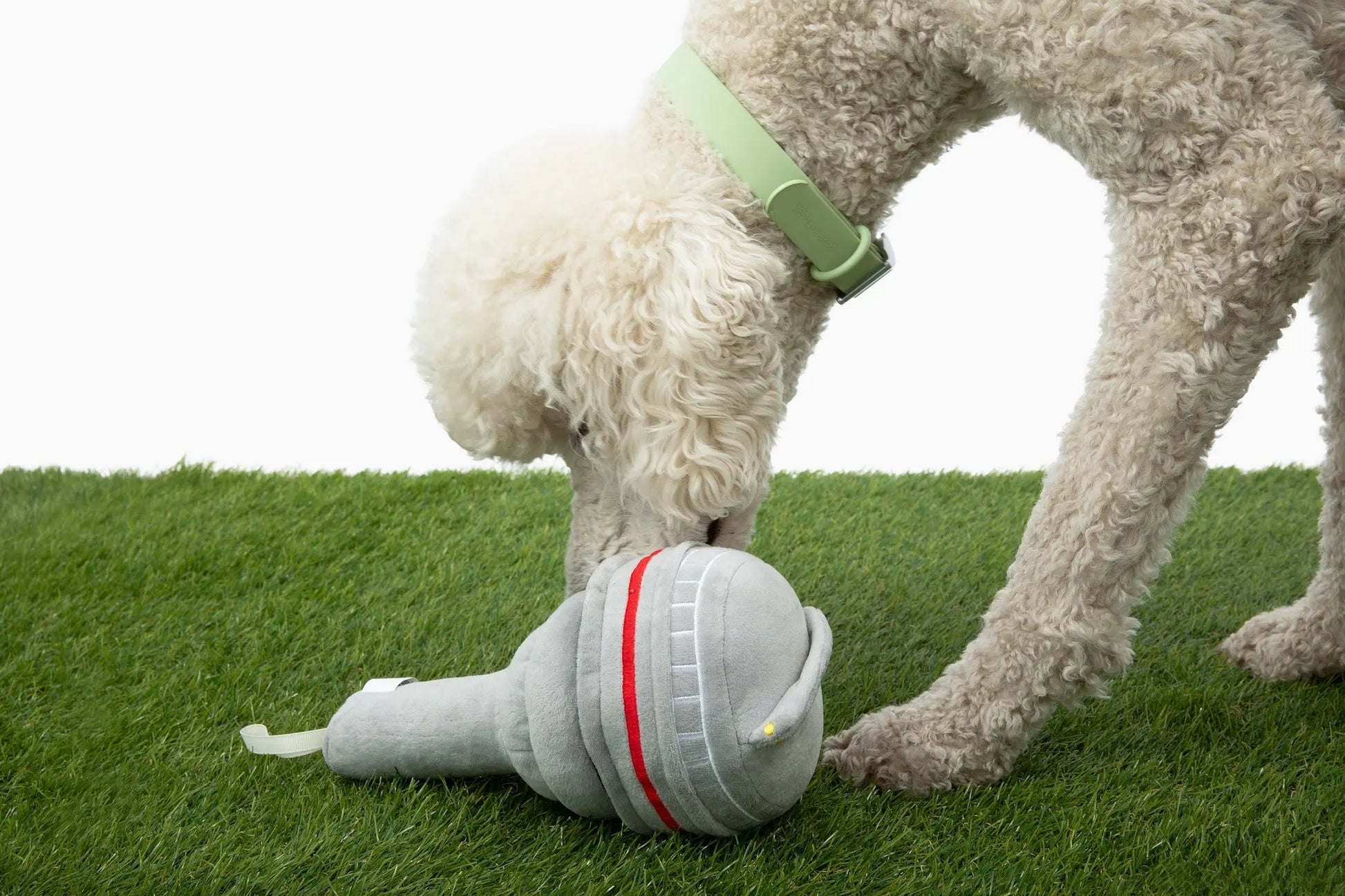 The Six Nose Work Dog Toy